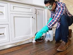 Real Estate Pest Inspections in Norton Shores, MI